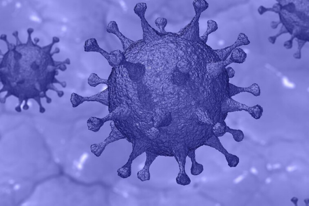 Эксперты рассказали об опасностях дезинфекции и иммунитете к COVID-19
